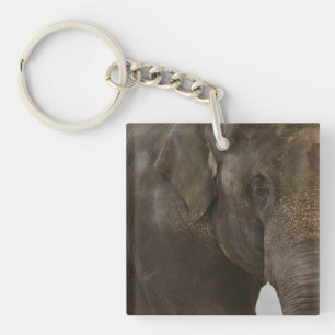 Elephant Up-Close Sleutelhanger