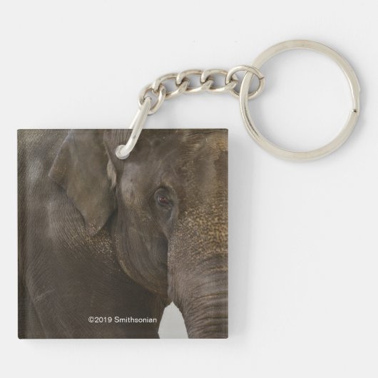 Elephant Up-Close Sleutelhanger (Achterkant)