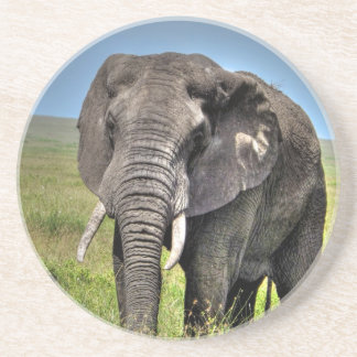 Elephant van Barb Craven_HDR Print.jpg Zandsteen Onderzetter