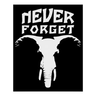 Elephant vergeet nooit perfect poster