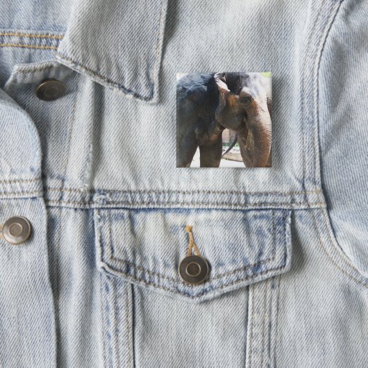 Elephant Vierkante Button 5,1 Cm (In situ)