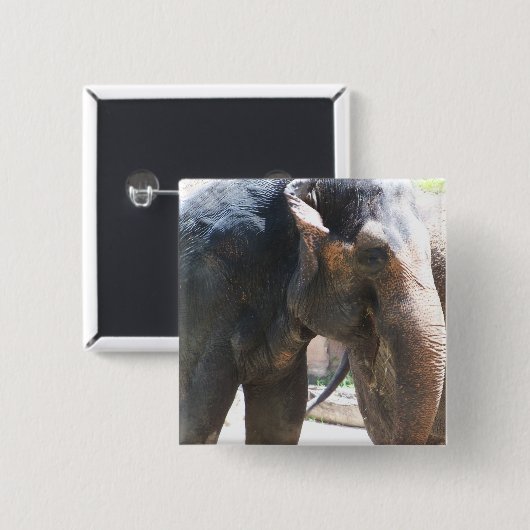Elephant Vierkante Button 5,1 Cm (Voorkant /achterkant)
