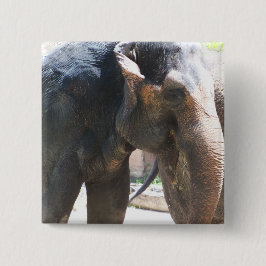 Elephant Vierkante Button 5,1 Cm