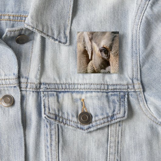 ELEPHANT VIERKANTE BUTTON 5,1 CM (In situ)