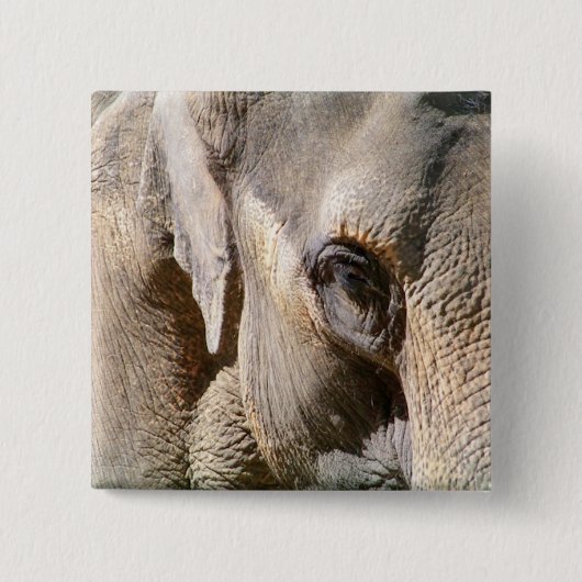 ELEPHANT VIERKANTE BUTTON 5,1 CM (Voorkant)