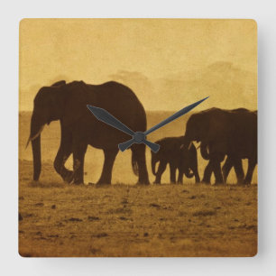 Elephant Vierkante Klok