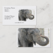 Elephant Visitekaartje (Voorkant / Achterkant)