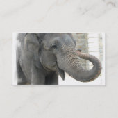 Elephant Visitekaartje (Achterkant)