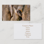 ELEPHANT VISITEKAARTJE (Voorkant / Achterkant)