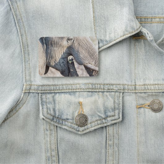 Elephant-voeding Naamplaatje (In situ)