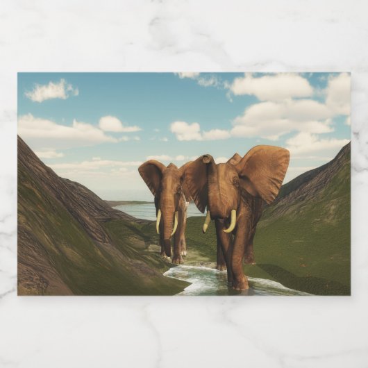 Elephant Voedselcontainer Etiket (Enkel label)