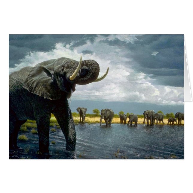 Elephant-wandeling (Voorkant Horizontaal)