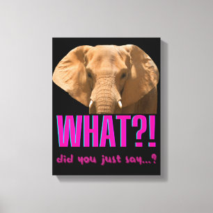 Elephant wat zei je net? canvas afdruk
