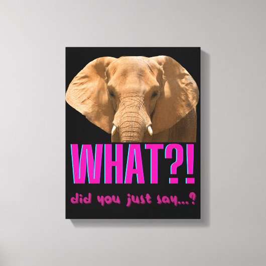 Elephant wat zei je net? canvas afdruk (Voorkant)