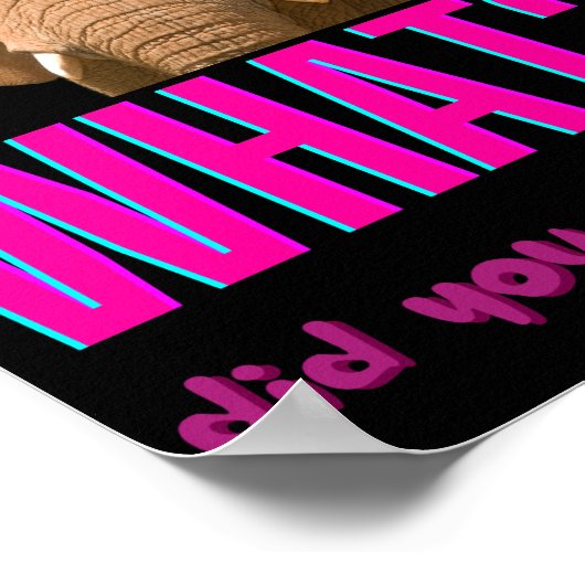 Elephant wat zei je net? poster (Hoek)