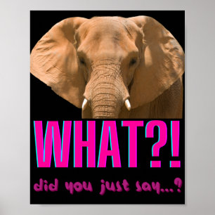 Elephant wat zei je net? poster