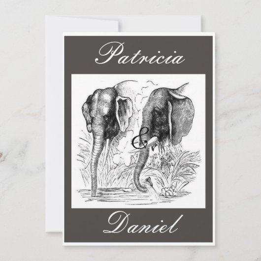 Elephant Wedding Kaart (Achterkant)