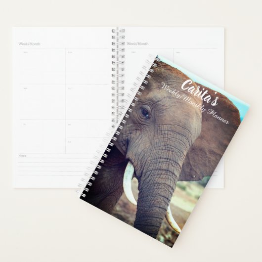 Elephant Weekly/Maandelijkse Planner (Display)