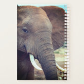 Elephant Weekly/Maandelijkse Planner (Achterkant)