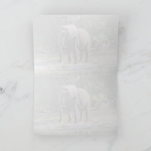 Elephant Wenskaart Kaart (Binnen)