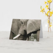 Elephant Wenskaart Kaart (Gele Bloem)