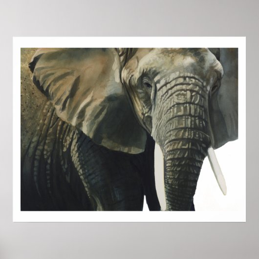 "Elephant Wildlife Animal Waterverf" Poster (Voorkant)