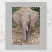 Elephant Wine Label Wijn Etiket (Enkel label)