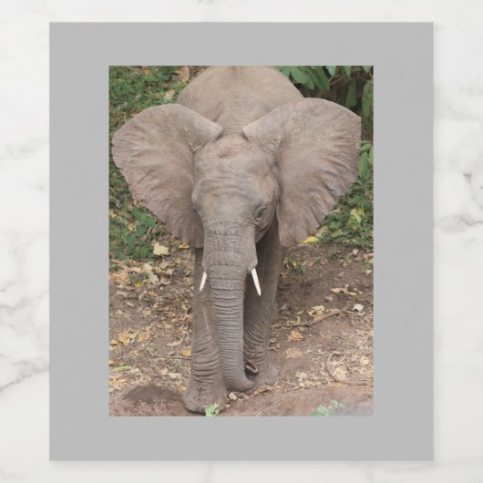 Elephant Wine Label Wijn Etiket (Enkel label)