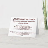 Elephant with Calf Card Kaart (Achterkant)