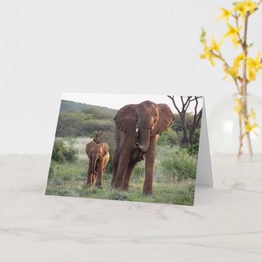 Elephant with Calf Card Kaart (Gele Bloem)