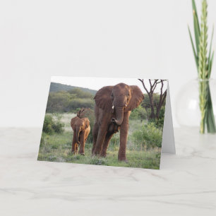 Elephant with Calf Card Kaart