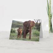 Elephant with Calf Card Kaart (Voorkant)
