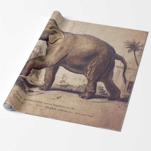 Elephant Wrapping of Decoupage Paper Cadeaupapier (Uitgerold)