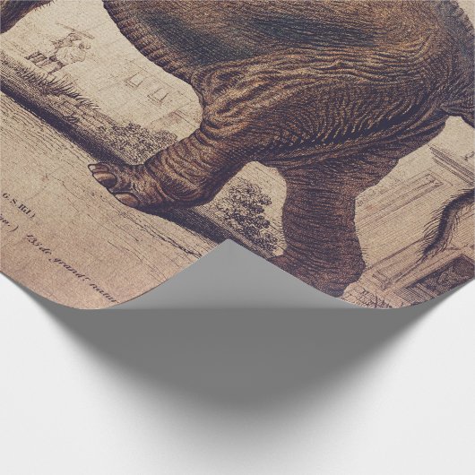 Elephant Wrapping of Decoupage Paper Cadeaupapier (Hoek)