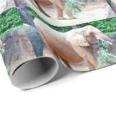 Elephant Wrapping Paper Cadeaupapier (Rol Hoek)