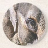 ELEPHANT ZANDSTEEN ONDERZETTER (Voorkant)