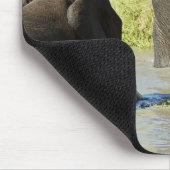 Elephant zwemmen muismat (Hoek)