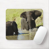 Elephant zwemmen muismat (Met muis)