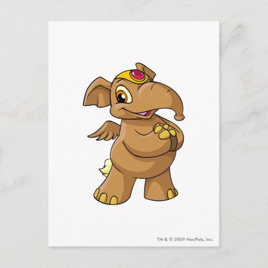 Elephante Brown Briefkaart (Voorkant)