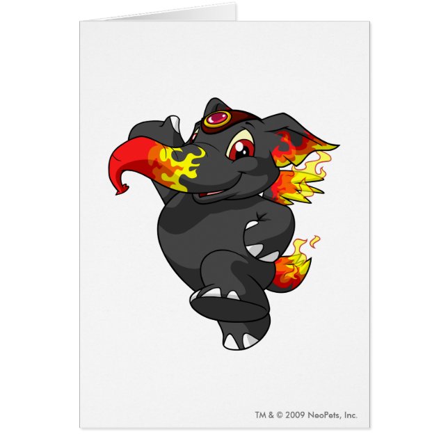 Elephante Fire (Voorkant)