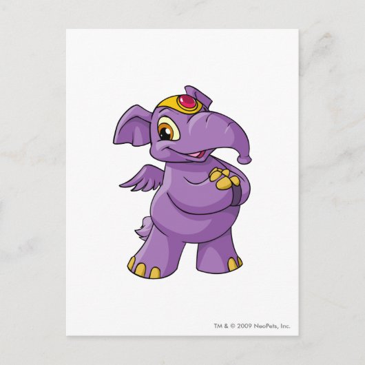 Elephante Paars Briefkaart (Voorkant)