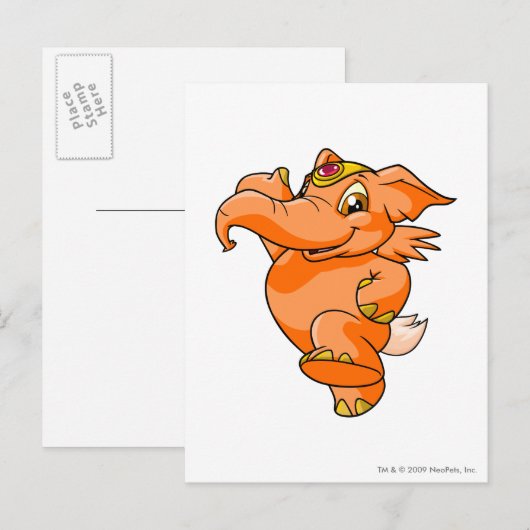 Elephante Sinaasappel Briefkaart (Voorkant / Achterkant)