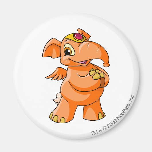 Elephante Sinaasappel Magneet (Voorkant)