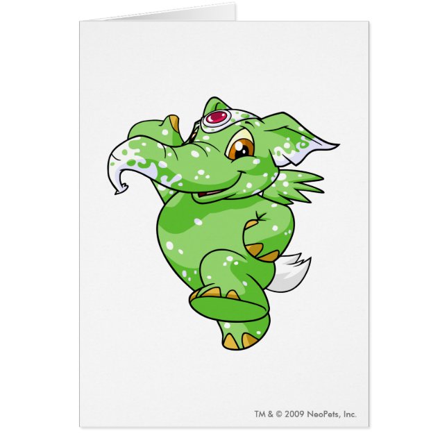 Elephante Specized (Voorkant)