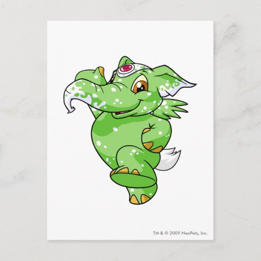 Elephante Specized Briefkaart (Voorkant)