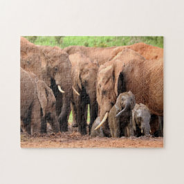Elephants aangepaste foto van familie legpuzzel