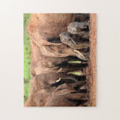 Elephants aangepaste foto van familie legpuzzel (Verticaal)