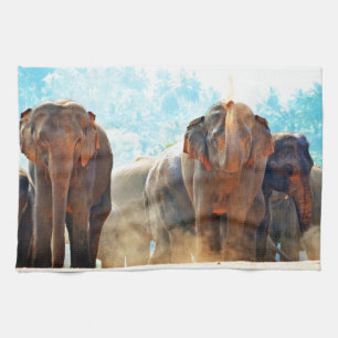 Elephants Animals Safari Destiny Peace Love Theedoek