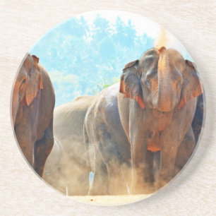 Elephants Animals Safari Destiny Peace Love Zandsteen Onderzetter