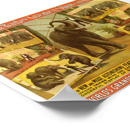 Elephants Barnum & Bailey Circus Poster (Hoek)